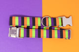 Monster Spirit Stripe Dog Collar