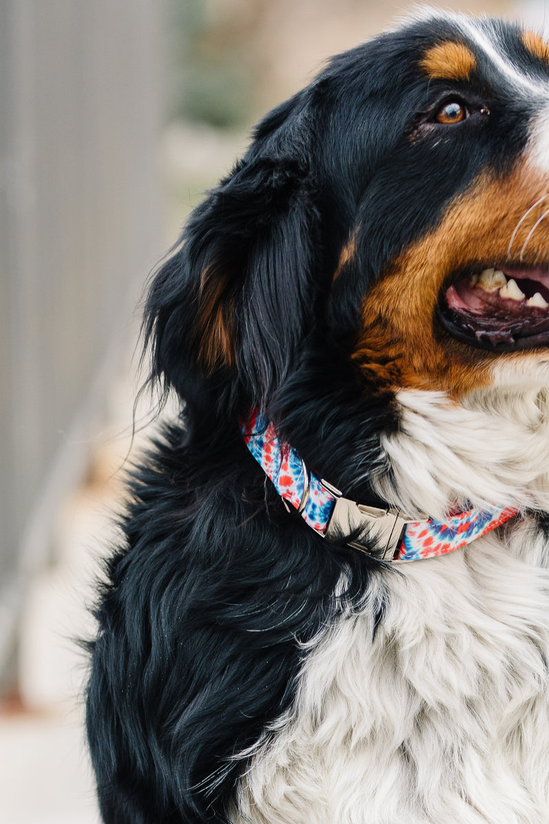 Red, White & Blue Tie Dye Dog Collar – Zaley Designs