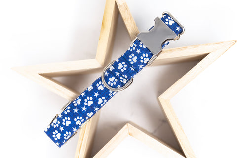 Paw Prints & Stars Dog Collar