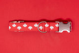 CANADA DAY Dog Collar