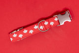 CANADA DAY Dog Collar
