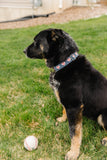 Baseball Hearts Dog Collar