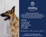 Pumpkin Spice Latte Dog Collar