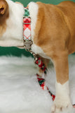 The Frosty Plaid Fabric Dog Collar