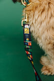 The PUPcracker Endurance Leash