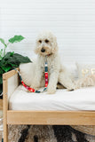 The Gumdrop Nordic Endurance Leash