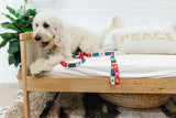 The Gumdrop Nordic Endurance Leash
