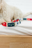 The Gumdrop Nordic Endurance Leash
