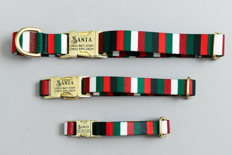 The Jolly Stripe Endurance Dog Collar