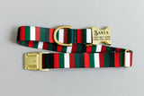 The Jolly Stripe Endurance Dog Collar