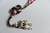 The Jolly Stripe Endurance Leash