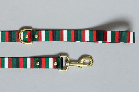 The Jolly Stripe Endurance Leash