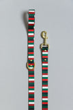 The Jolly Stripe Endurance Leash