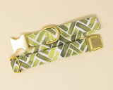 Olive Watercolor Herringbone Dog Collar