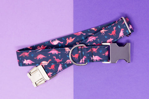 Pink Dinosaurs Dog Collar