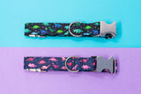 Blue & Green Dinosaurs Dog Collar