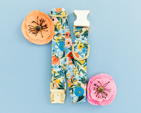 Rifle Paper Company Blue Floral Dog Collar