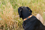 Ember Flannel Plaid Dog Collar