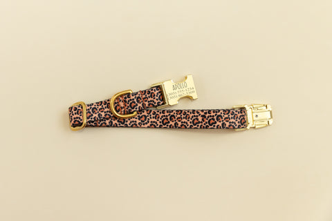 Paw Print Leopard Endurance Collar