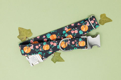 Floral Pumpkin Dog Collar