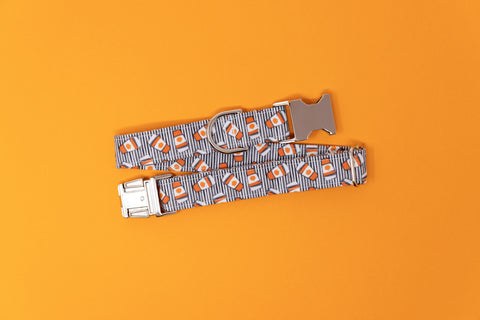 Pumpkin Spice Latte Dog Collar