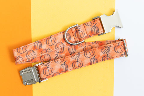 Orange Watercolor Pumpkins Dog Collar