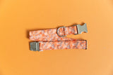 Orange Watercolor Pumpkins Dog Collar