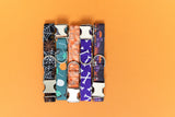 Orange Watercolor Pumpkins Dog Collar