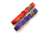 Autumn Endurance Collars