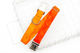 Sunrise Ombre Dog Collar