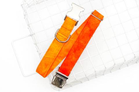 Sunrise Ombre Dog Collar