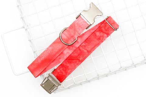 Rose Ombre Dog Collar