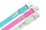 Good Egg/Bad Egg Dog Collar