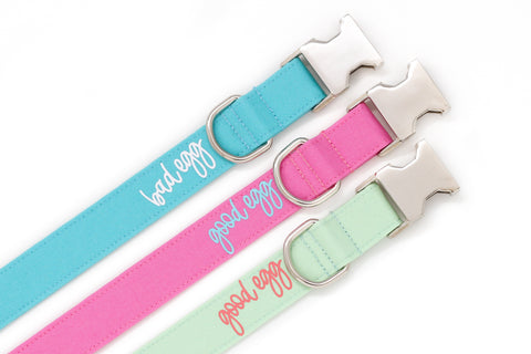 Good Egg/Bad Egg Dog Collar