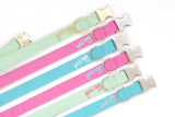 Good Egg/Bad Egg Dog Collar