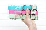 Good Egg/Bad Egg Dog Collar