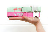 Good Egg/Bad Egg Dog Collar