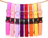 Simply Classic Dog Collars