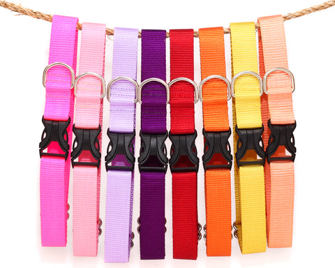Simply Classic Dog Collars