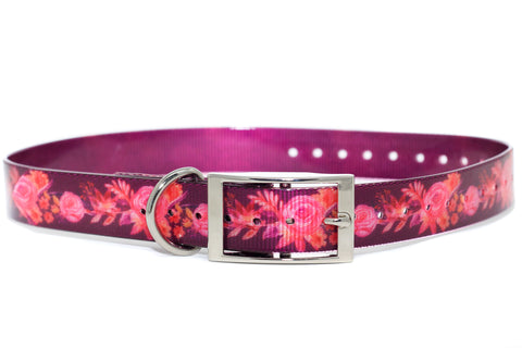 Purple Watercolor Floral Titan Dog Collar - Girl Dog Collar - Dirtproof, Stinkproof, Waterproof by Zaley Designs