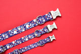 Paw Print Fireworks Endurance Collar