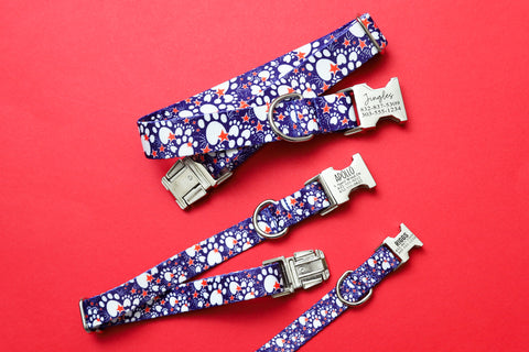Paw Print Fireworks Endurance Collar