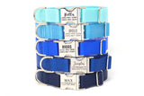 Personalized Endurance Collar - 28 Color Options