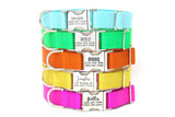 Personalized Endurance Collar - 28 Color Options