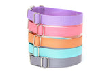Personalized Endurance Collar - 28 Color Options