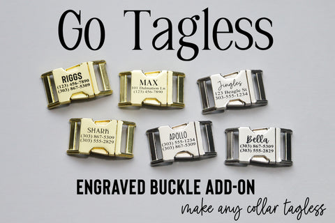 Dog Collar Engraving upgrade, Go Tagless!