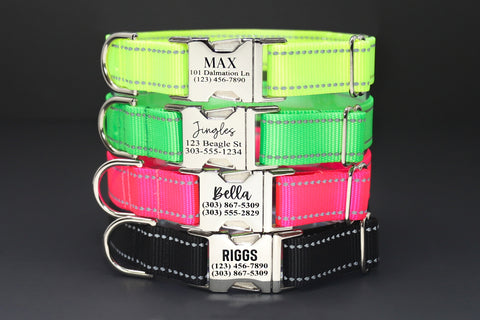 Personalized Reflective Endurance Collar