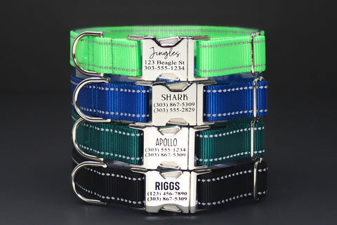 Personalized Reflective Endurance Collar