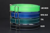 Personalized Reflective Endurance Collar