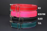 Personalized Reflective Endurance Collar
